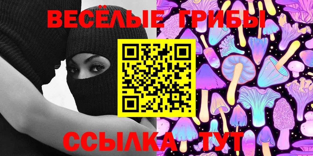Псилоцибиновые грибы Psilocybe Астрахань